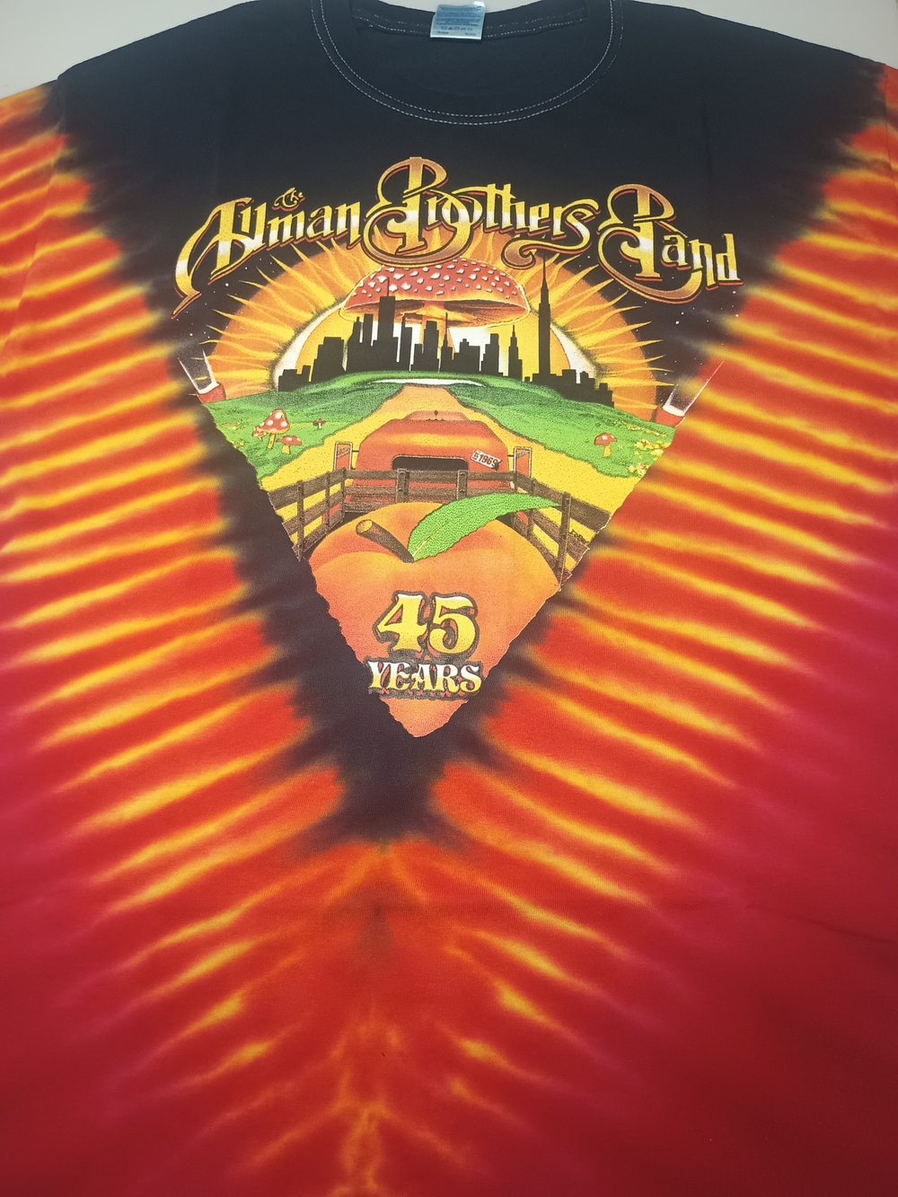 The Allman Brothers Band Beacon Theatre NYC 2014 Tye Dye T Shirt Size L